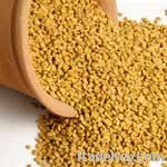 Fenugreek Seed