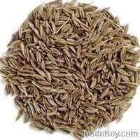 OrganicCumin Seed