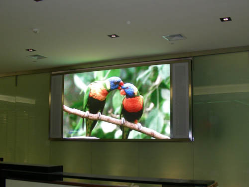 China professional indoor led display manufacture led screen P6