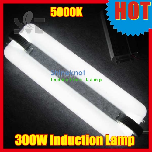 300W Electrodeless Induction Lamp