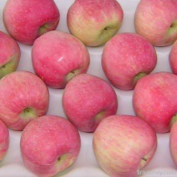 Red Star  Apple