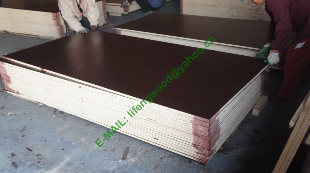 film faced plywood WBP PHENOL GLUE