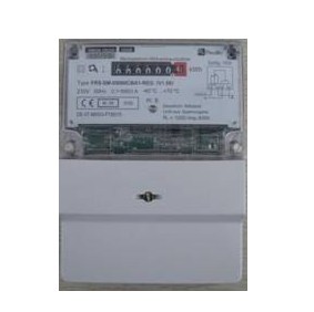 Single- Phase Meter E1000-02