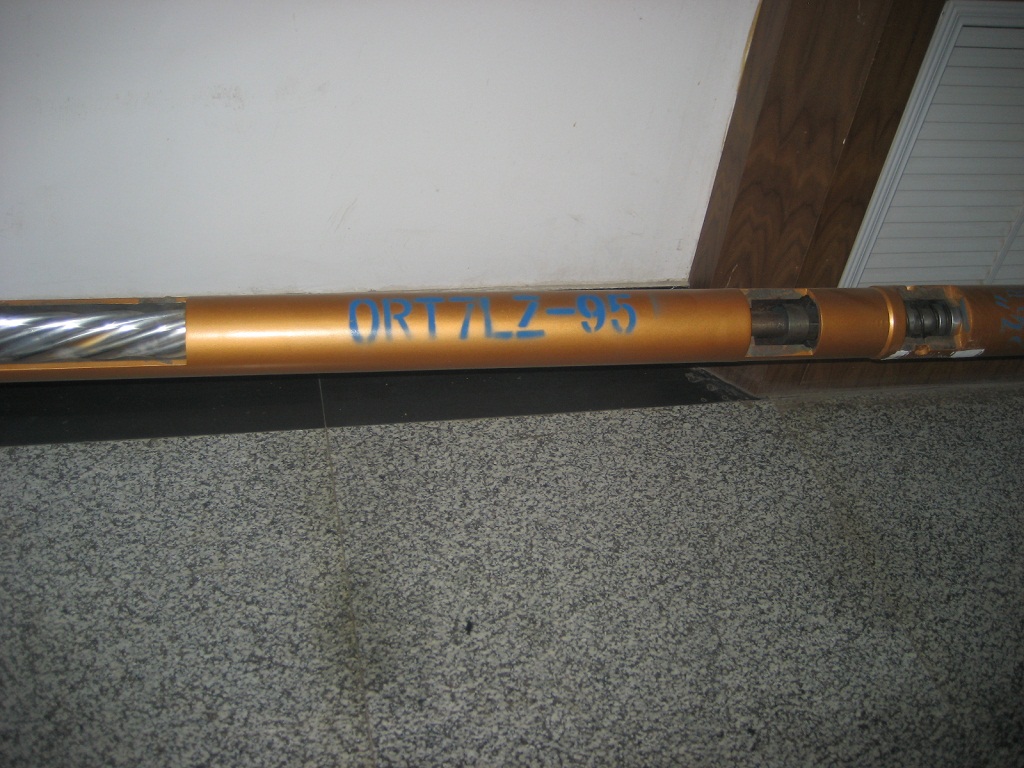 Downhole motor