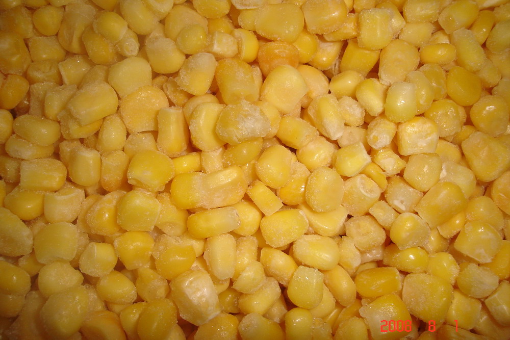 IQF Frozen Sweet Corn Kernel