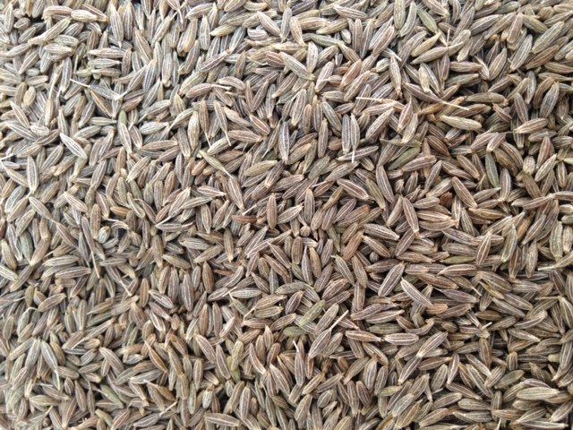 Cumin seed