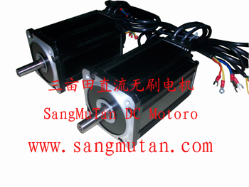 Brushless DC motor