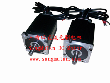 Brushless DC motor drive unit