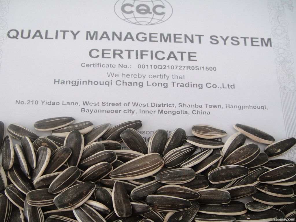 confectioanry sunflower seeds 5009 large quantity