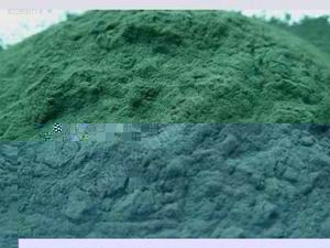 spirulina powder