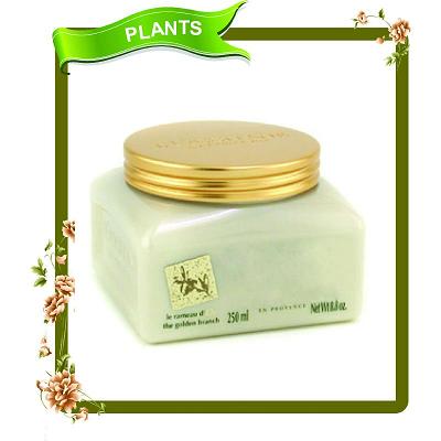 Dry Oil Body Slimming Cream