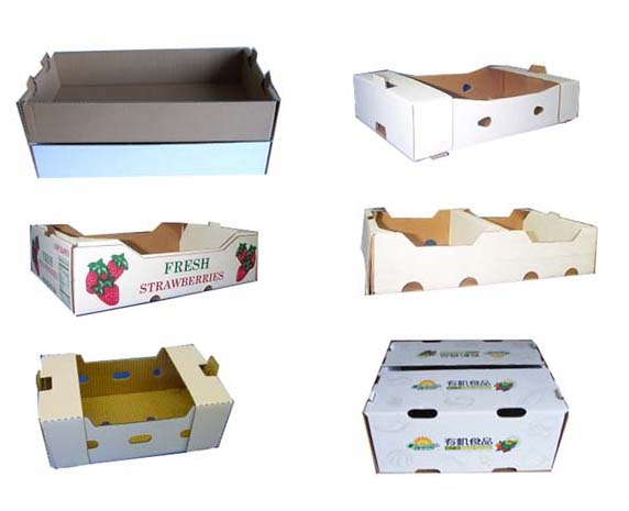 Cardboard Fruit Box