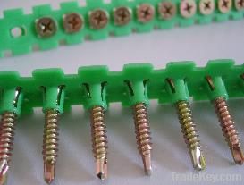 collated screw