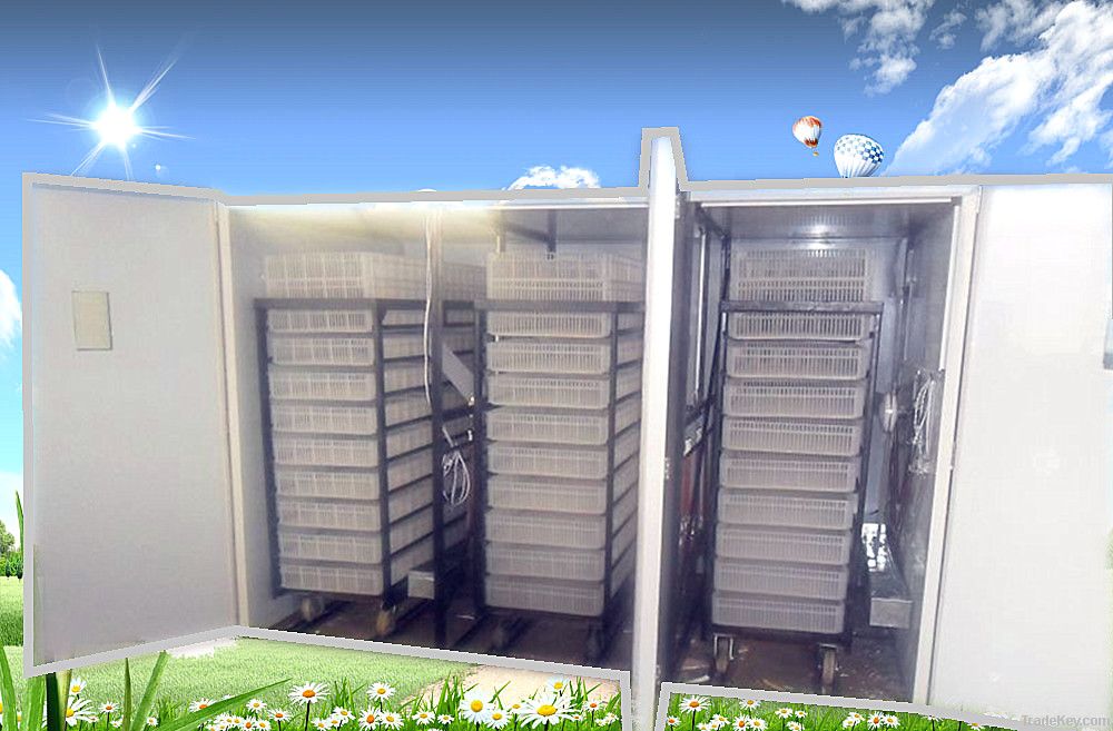 Automatic egg incubator