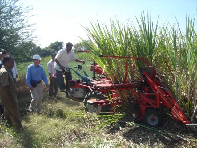 Sugarcane harvester