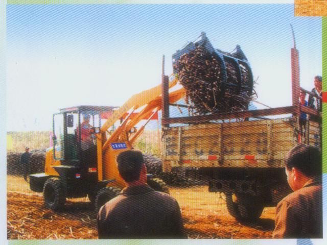 Sugarcane loader