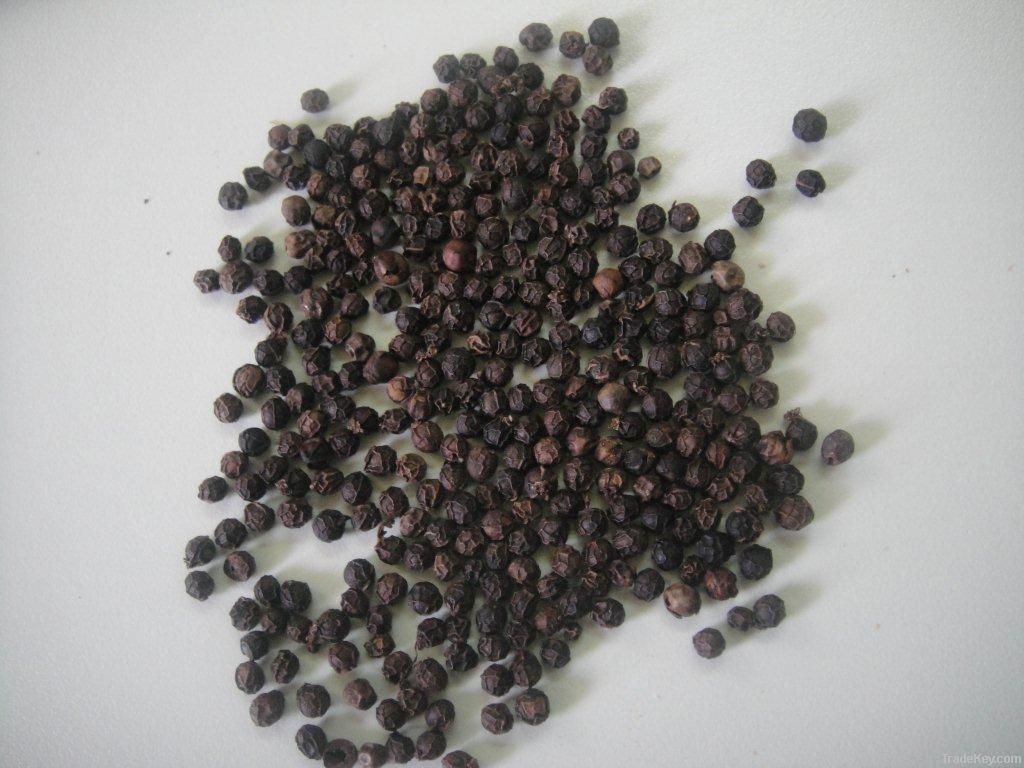 Indian Black Pepper