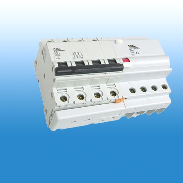 Earth Leakage Circuit Breaker(C65LE)