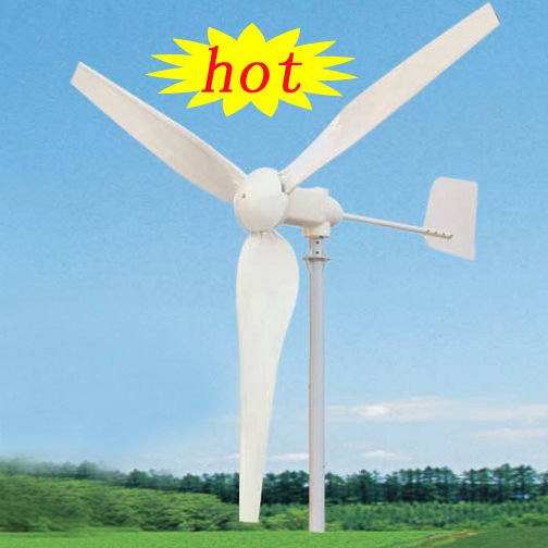 1000W wind turbine