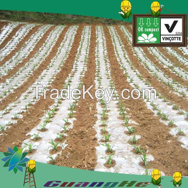 Bioplastic agricultural mulching film, PLA agricultural stretch film