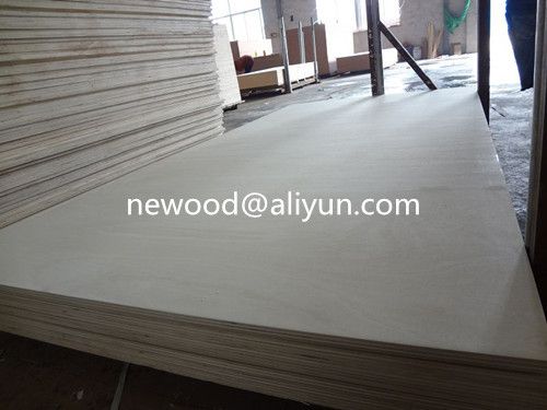 97x49 , Big size poplar pywood