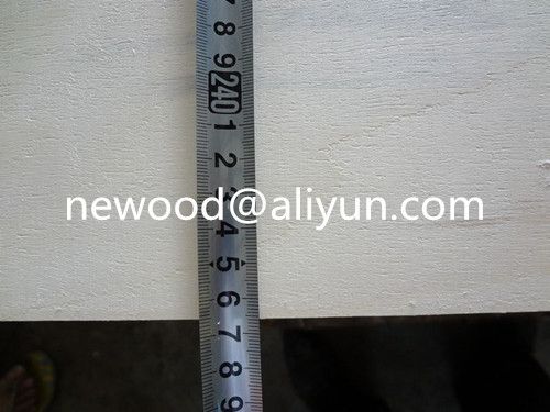 97x49 , Big size poplar pywood