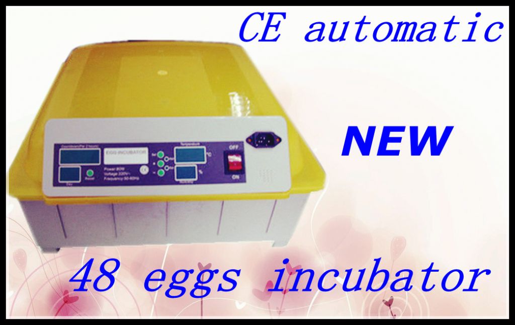 Newst Small Chicken Eggs Hatching Machine  Automatic Eggs Hatching Machine