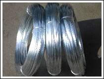 Galvanized Iron Wire