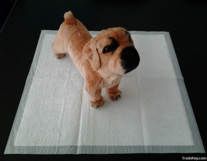 3pcs packing pet pad