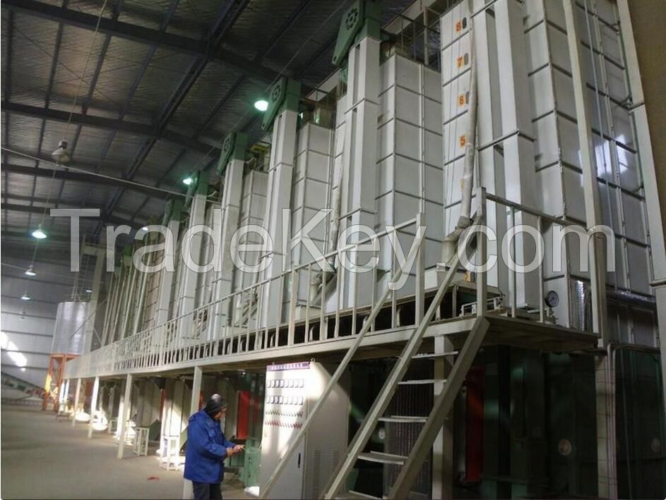 Jasee Raw Paddy Dryer