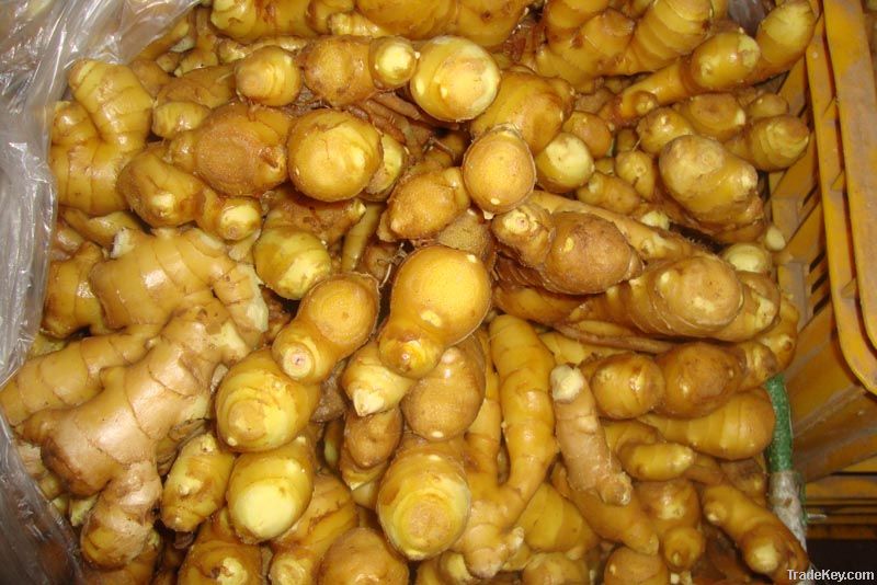 Chinese Dry Ginger