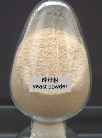 50% Yeast Powder