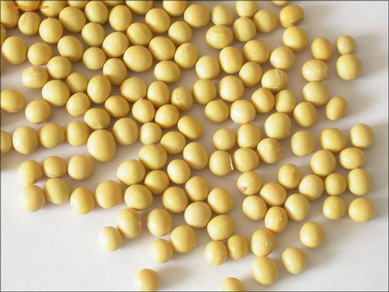 Soybean *****