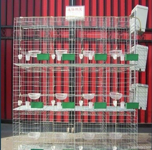 Pigeon Breeding Cage