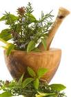 medicinal herbs, spices, raw and threaded silk, dress materials, music