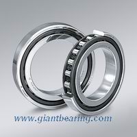 Single row cylindrical roller bearing