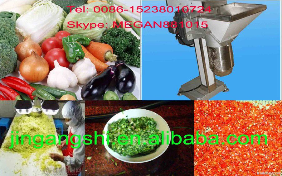 well-known and high quality garlic grinder machine 0086-15238010724