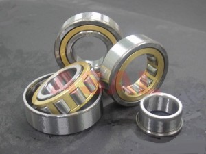 cylindrical roller bearing