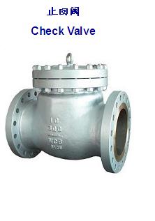 check valve