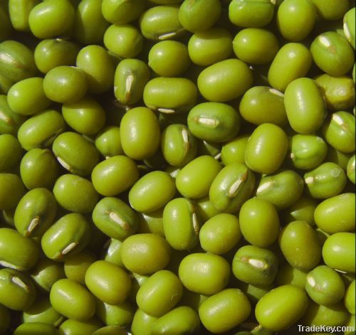 Green Mung Beans, 2.8mm+