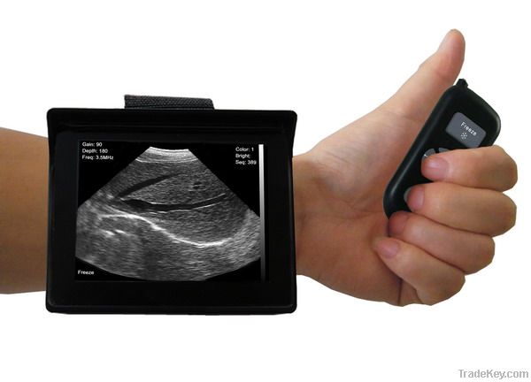 Veterinary Ultrasound Scanner