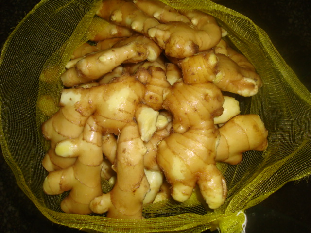 fresh ginger