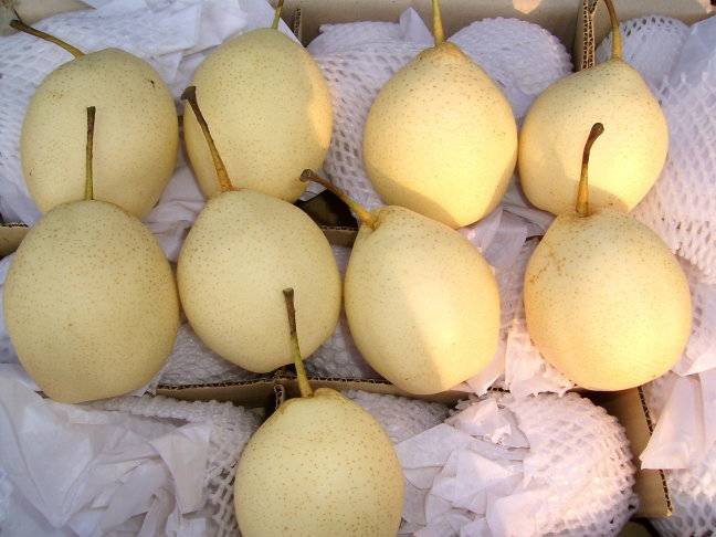 fresh pear