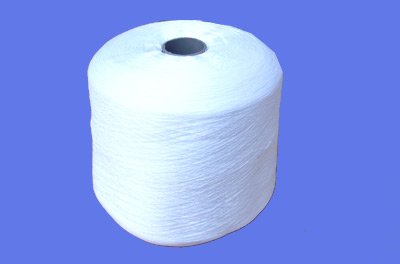 Polyester Yarn