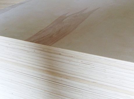 Full poplar plywood