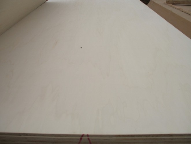 Full poplar plywood