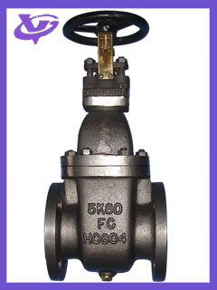 MARINE JIS CAST IRON(STEEL) GATE VALVE