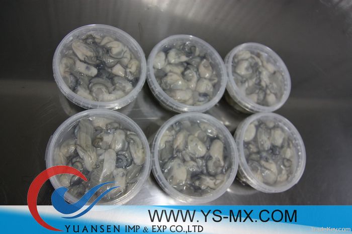 Frozen Pasteurized Oyster meat