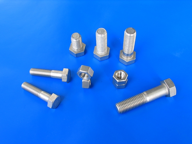 Stainless Steel Bolts