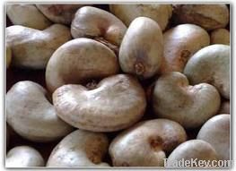 Cheap Cashew Nut | Wholesale Cashew Nut | Discounted Cashew Nut | Bulk Cashew Nut | Cashew Nut Suppliers | Cashew Nut Exporters | Cashew Nut Manufacturers | Cashew Nut Buyer | Import Cashew Nut